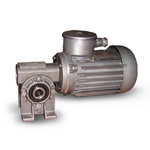 мотор-редукторы червячные